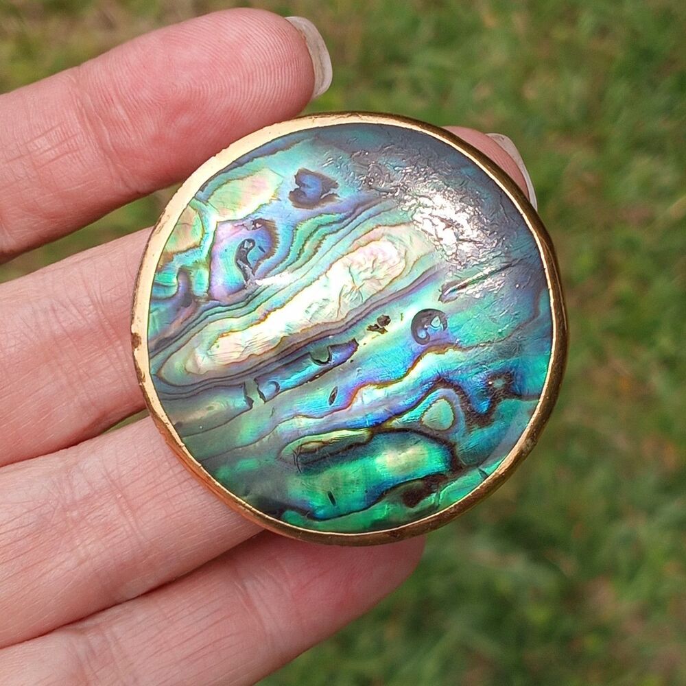 Vintage Abalone Paua Shell 2.5" Brooch Pendant Gold Dipped Rim Natural Colorful